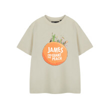 (9-10 Years) Roald Dahl Short Sleeved T-Shirt (Unisex Kids Beige)