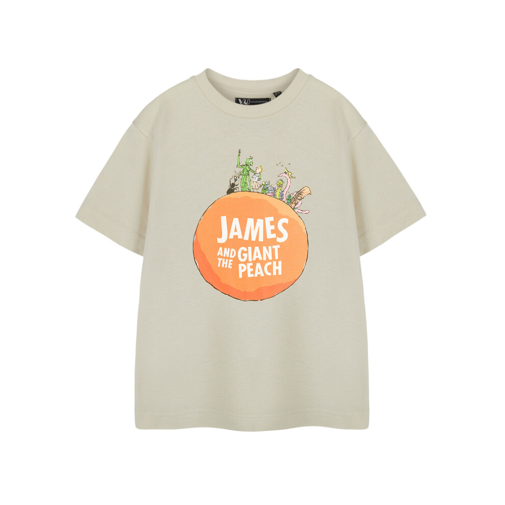 (13-14 Years) Roald Dahl Short Sleeved T-Shirt (Unisex Kids Beige)