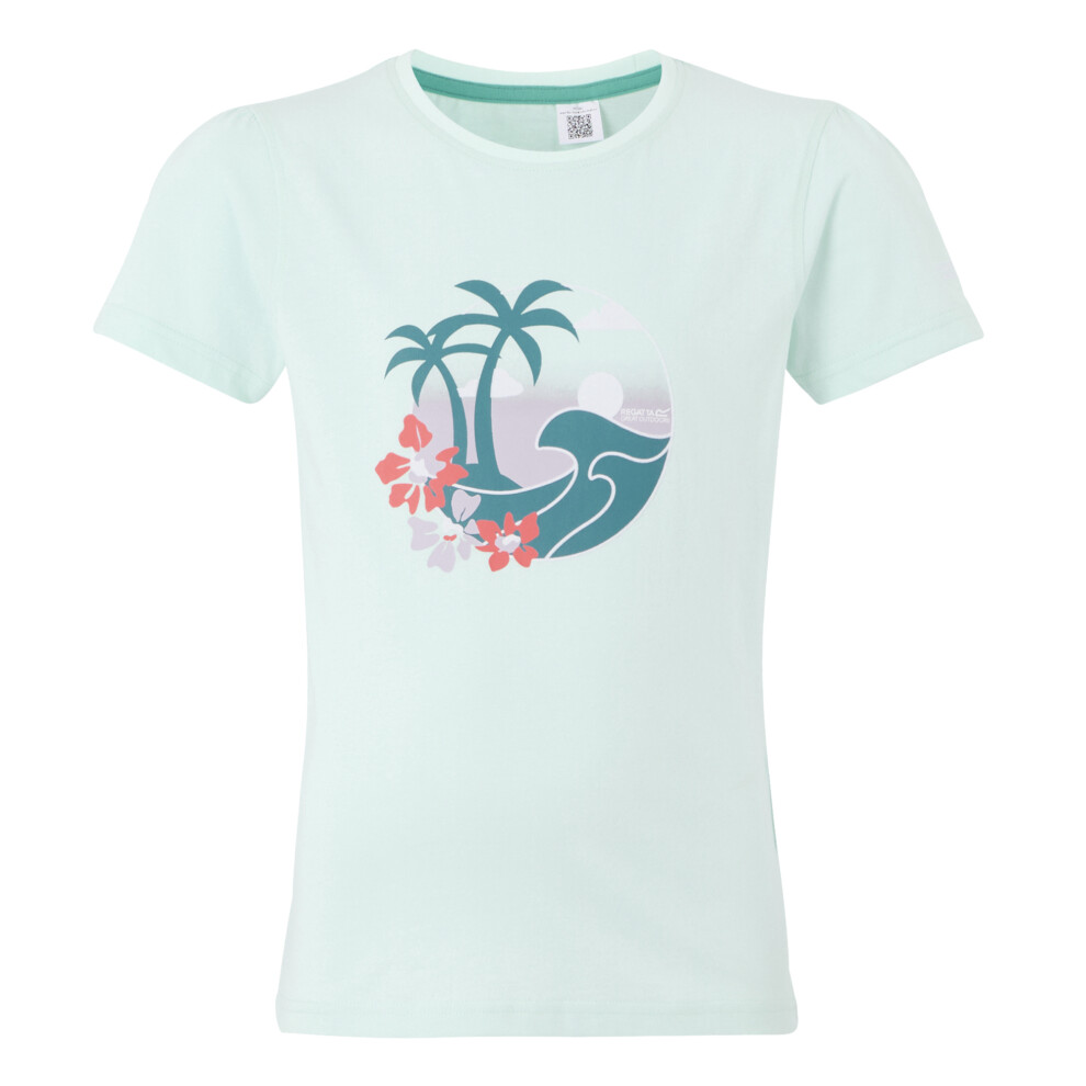 (13 Years, Icy Morn) Regatta Childrens/Kids Bosley VIII Palm Tree T-Shirt