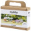 Modelling Craft Kit - Insect on Stone 5