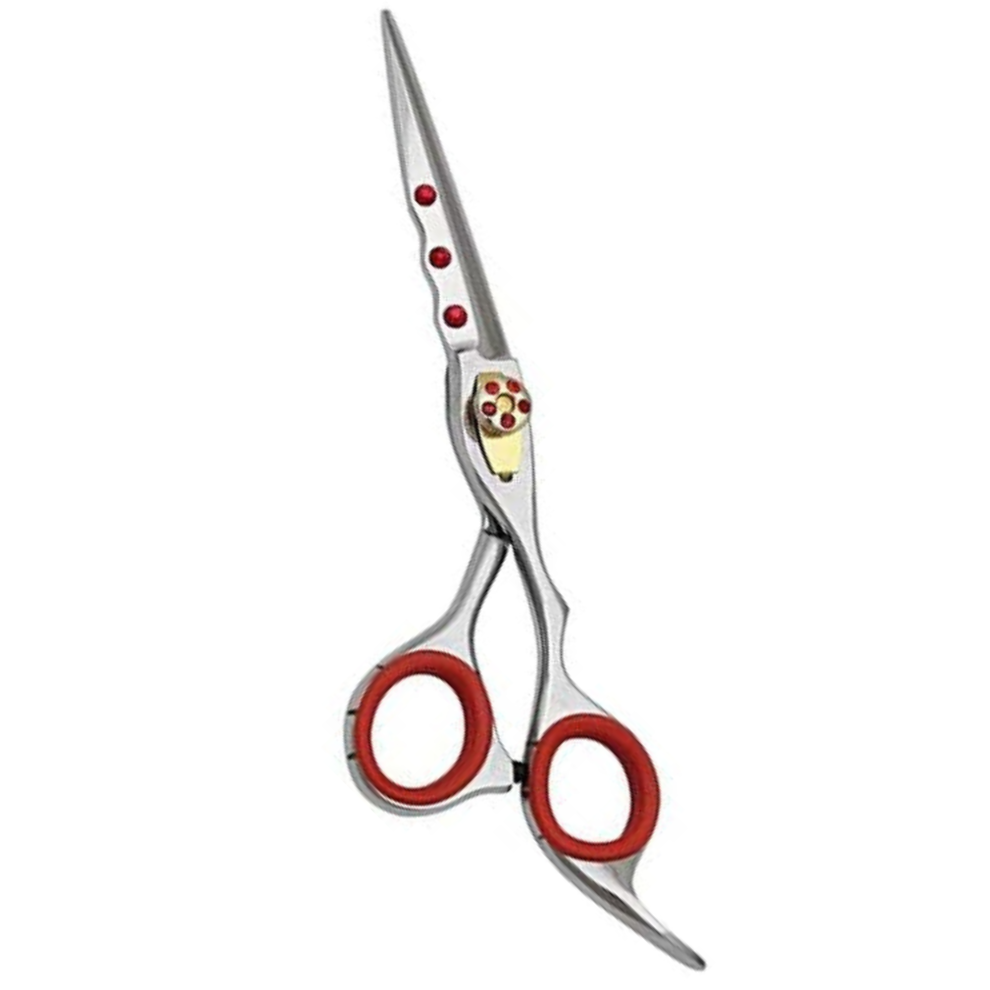 Professional Hair Cutting Scissors Shears  Barber & Salon Stainless Steel Hairdressing Scissors (5.5-6" Razor Sharp Silver with Pouch)