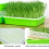 Seed Tray with Lid Sprout Grower Sprouting Seeds Tray 6