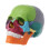 4d Disassembled Color Skull Anatomical Model Detachable Teaching Tool 1