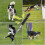 Dog Whistle Ultrasonic Daily Training Whistle for Recall Tricks Stops Barking 4