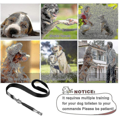 Dog Whistle Ultrasonic Daily Training Whistle for Recall Tricks Stops Barking 2