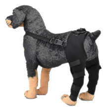 (L,black)Pet Double Hind Leg Dog Double Hind Leg Protector Dog Injury Cover