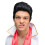 50's Rocker Wig / Elvis 1