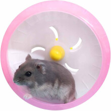 Hamstertrainingsrad 4.72¡, leises Jogging-Übungsspielzeug Hamsterkäfig-Zubehör für Zwerghamster Goldseide Shih Tzu Bär (Rosa)