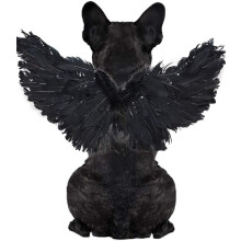 Costume d'Halloween pour chien, chat, lapin et cochon - Cadeau amusant pour la fête d'Halloween, le thème de l'anime, l'anniversaire et Noël (Sma).