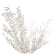 45 cm Fiori di Ruscus secchi conservati Decorazione floreale fai da te Bouquet di fiori secchi per decorazioni per la casa per matrimoni