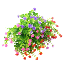20 mazzi, piante verdi arbusti per, casa giardino patio, fioriera sospesa