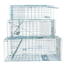 Collapsible Live Trap - Small