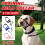 Black Dog Training Head Collar Halter Stop Pulling Training Tool Harness Strap Leader XL 2