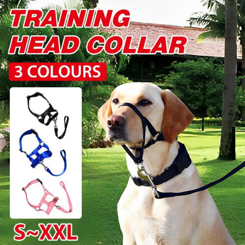 Black Dog Training Head Collar Halter Stop Pulling Training Tool Harness Strap Leader XL 1