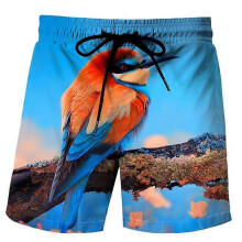 (XL,Color 2)Beach Shorts for Men 3D Print Animal Board Shorts Sports Gym Swim Trunks Shorts Pants