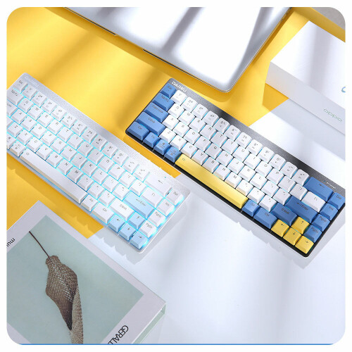 (White, Brown Switch) Mechanical Keyboard Low Profile Switch Dual Mode Wired Bluetooth 5.1 Ice Blue Backlight 68 Keys Extra-Thin Rechargeable Gaming Keyboard 2