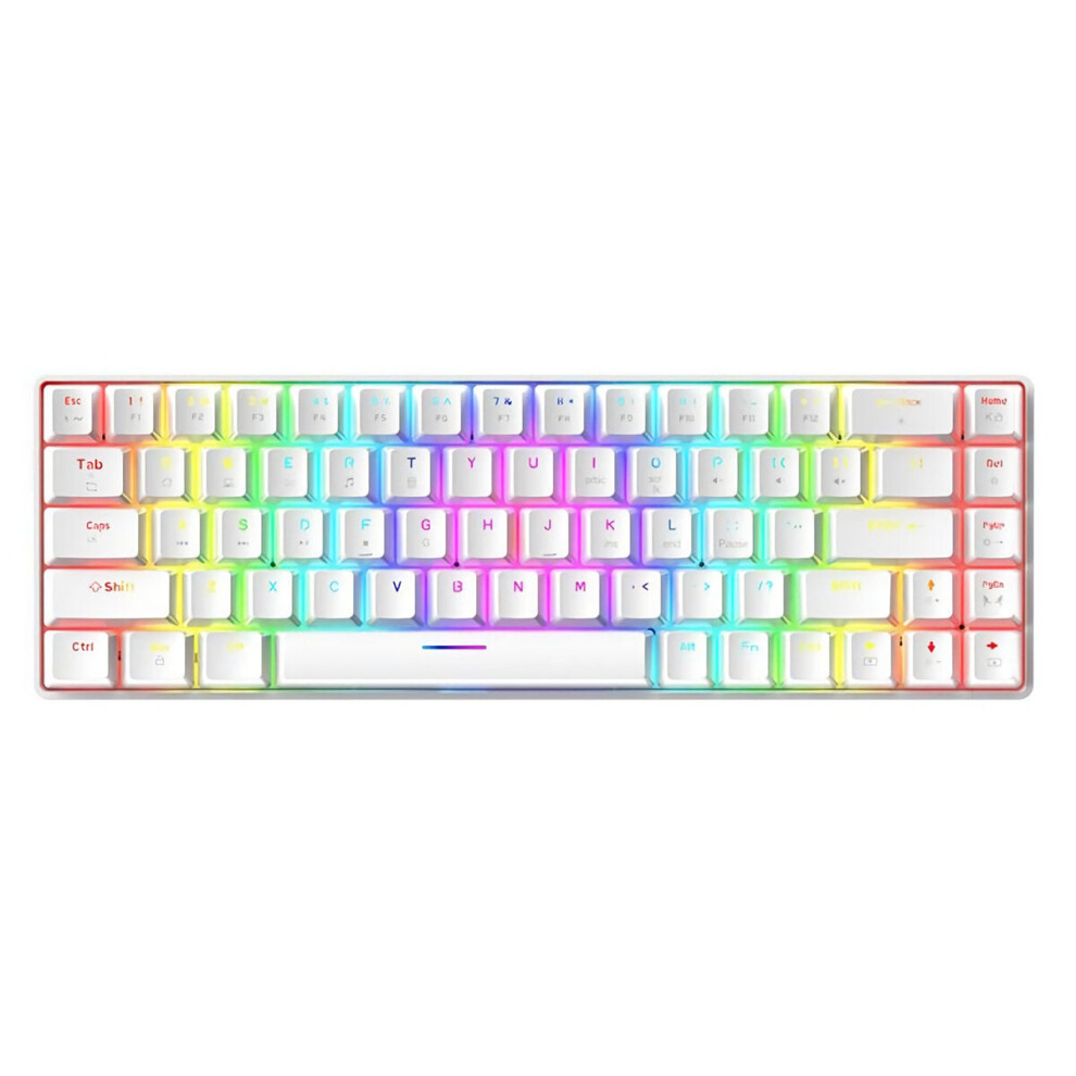 (White, Blue Switch) Mechanical Keyboard 68 Keys USB Type-C Wired Blue/Brown/Red Swtich Colorful RGB Backlit Gaming Keyboard for Home Office Gaming Ty-image-OPC-PFZRBQX-NEW