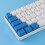 (White, Blue Switch) Programmable Gaming Mechanical Keyboard 61 Keys Full-Key PBT Translucent Keycaps Dual-Mode Bluetooth 5.1 Type-C Wired 60% Compact Keyboard 7