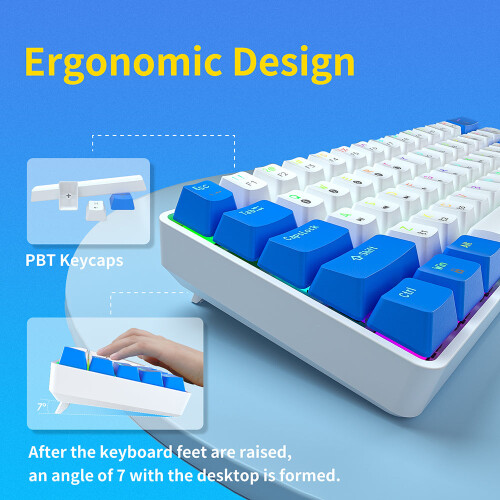 (White, Blue Switch) Programmable Gaming Mechanical Keyboard 61 Keys Full-Key PBT Translucent Keycaps Dual-Mode Bluetooth 5.1 Type-C Wired 60% Compact Keyboard 2