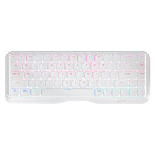 (White, Silver Switch) Mechanical Keyboard Gateron Pro Switch 68 Keys Triple Mode Wireless Bluetooth5.0 + 2.4Ghz + Type-C Wired Hot-swappable Low-Ball Cap for Win