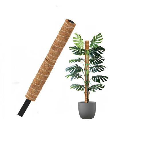 4 Coco Fibre Moss Pole Climbing Plant Support Cane Non Extendable 60cm 1