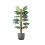 4 Coco Fibre Moss Pole Climbing Plant Support Cane Non Extendable 60cm 8