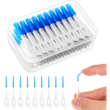 200 Stück Interdentalbürsten, Zahnseide Picks