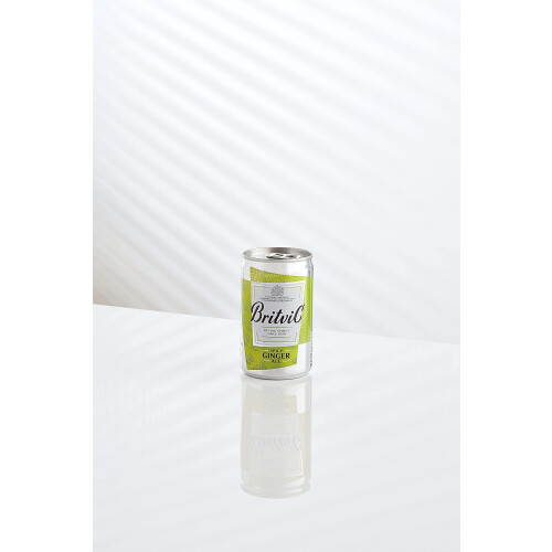 Britvic Britvic Ginger Ale, 24 x 150ml Can 2
