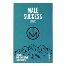 Male Success: Uprise