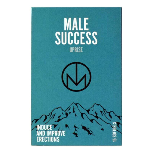 Male Success: Uprise