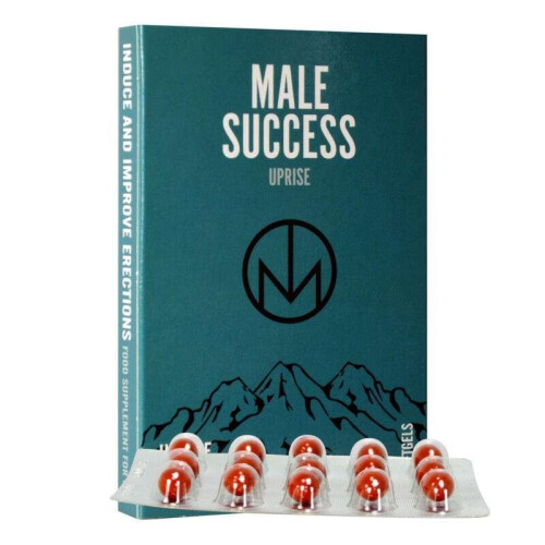 Male Success: Uprise 2