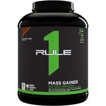 Rule One Proteins, Mass Gainer, Schokoladen-Fudge, 5,73 lb (2,60 kg)
