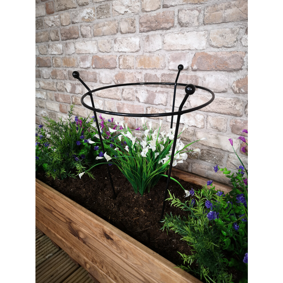 Samuel Alexander Tom Chambers Cottage Heavy Duty Metal Steel Herbaceous Garden Plant Support Ring Small 60Cm X 35Cm Black