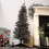 Samuel Alexander 4ft (120cm) Snowtime Wrapped Pencil Pine Grey Tree with 168 Tips 1
