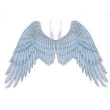 1pc Masquerade Oversized Angel Wings Cosplay Performance Prop Decoration for Adult Men Women#szfs18001
