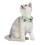 Set Of 2 Classic Checkered Escaped Cat Collar 3