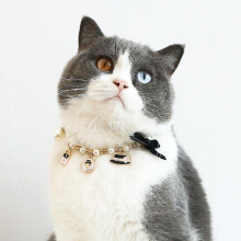 Cat Toys,cat Collar,adjustable Collar,a Collar for A Horse,cats Love High Quality Cat Toys Security Structure Gift From Cat Owner Beautiful Cat Toys C