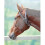 (Full) Leather Anti-crib Horse Collar 2
