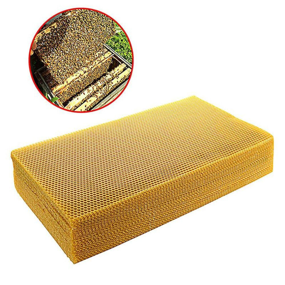 10pcs Excellent Diy Accessories Yellow Honeycomb Foundation Bee Hive Wax Frames Beekeeping Equipment Sheet