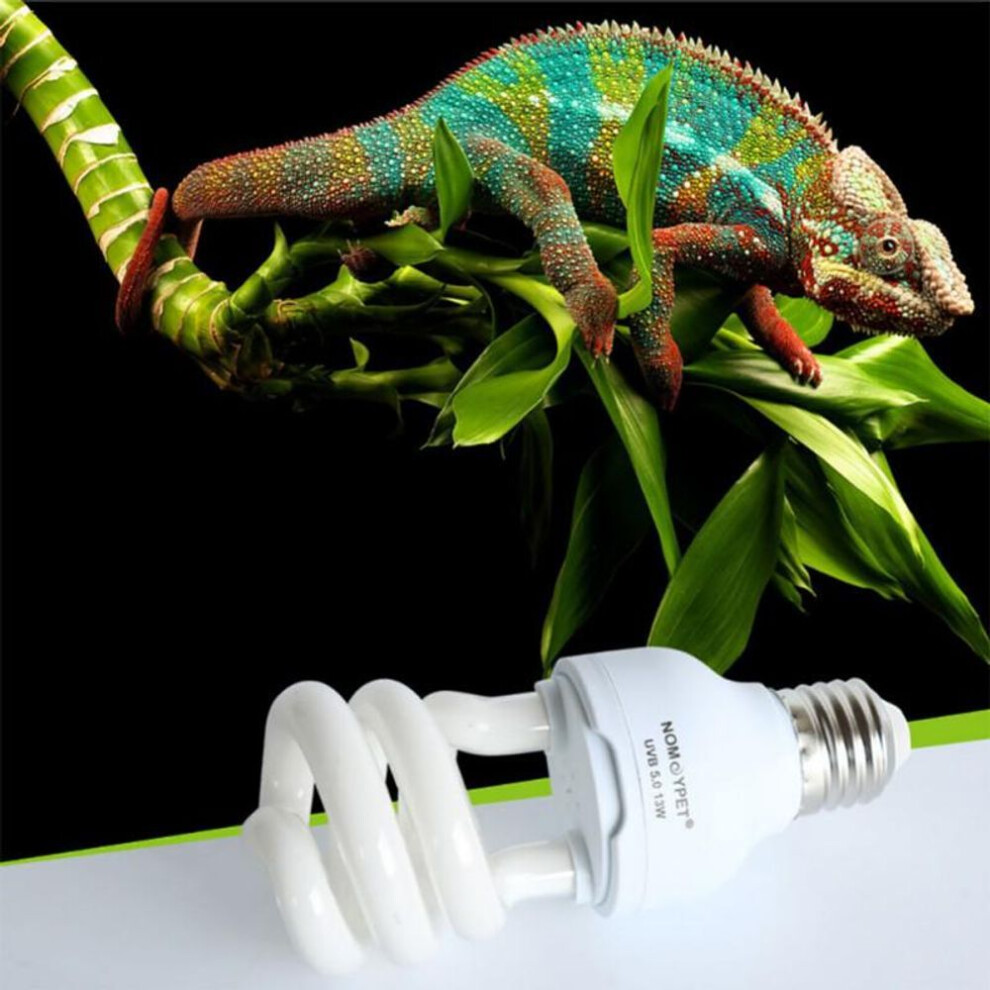 (5) Tortoise Lizard Calcium Succulent Plant Ultraviolet Sun Light
