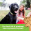 Buddy Biscuit Softies, bolsa de 5 oz, suave y masticable, pollo asado natural 5