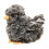 Douglas Peluche de pollito Douglas Black Multi Chick 1