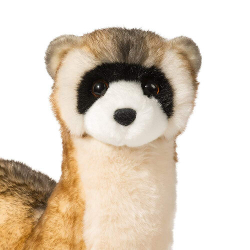 Douglas Douglas Vince Schwarzfu?frettchen Pl?schtier 2