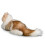 Douglas Douglas Kiki Ragdoll Katze Pl?sch Stofftier 4