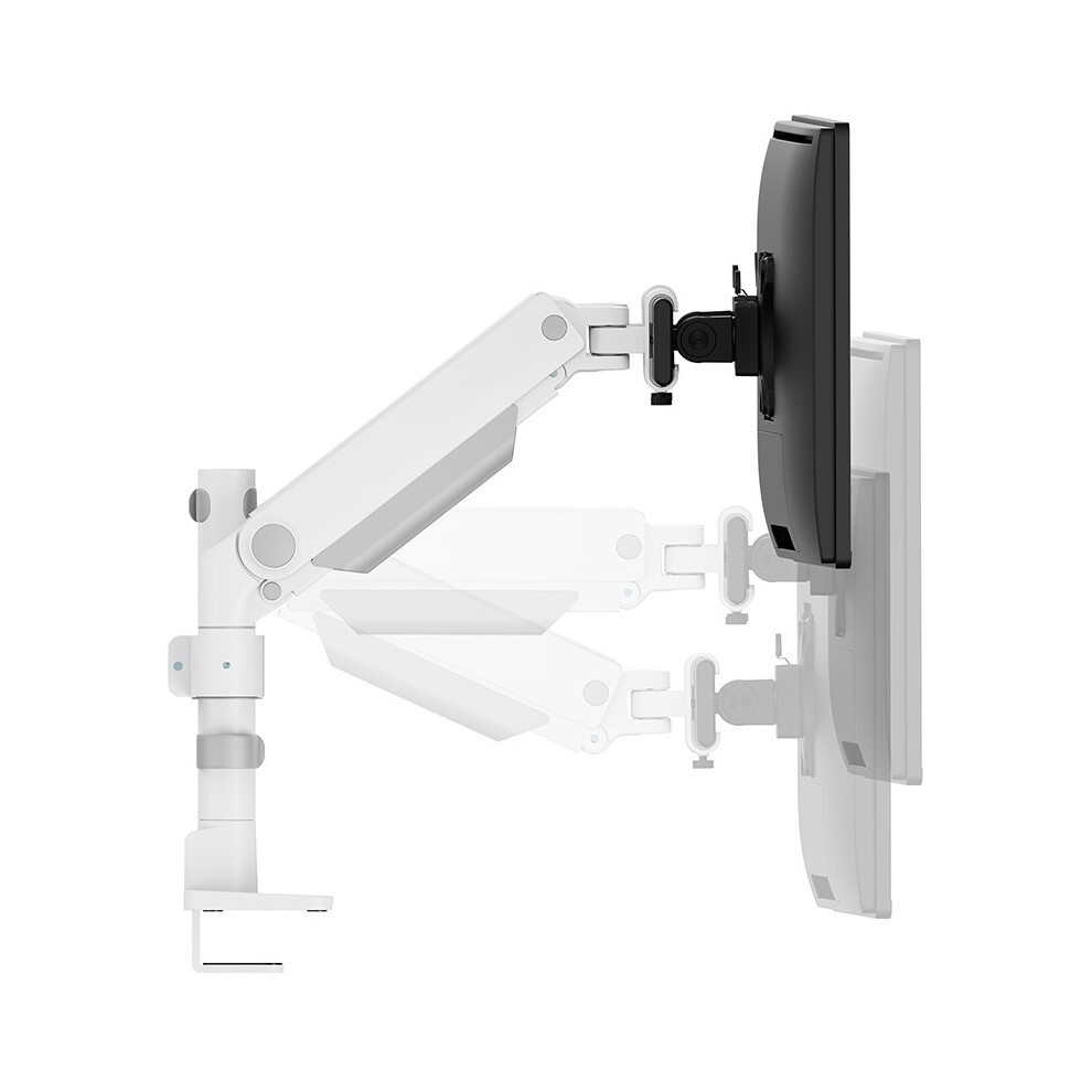 Neomounts Desk Monitor Arm 8717371442828
