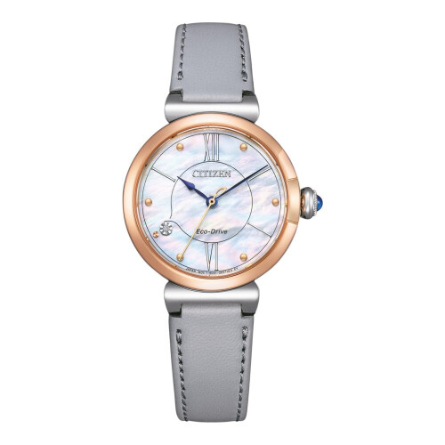 Citizen Citizen Kobietyzegarek EM1074-15D