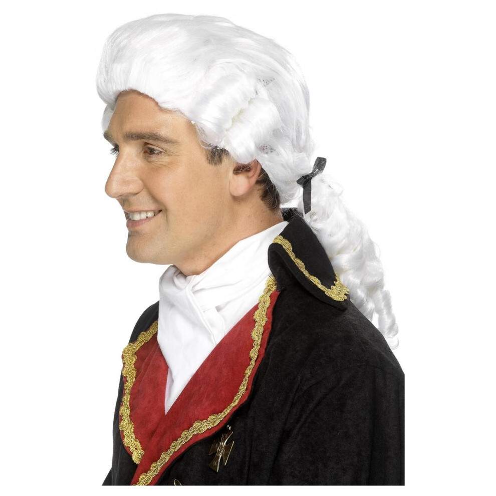 Smiffys Mens Court Judge Wig Set