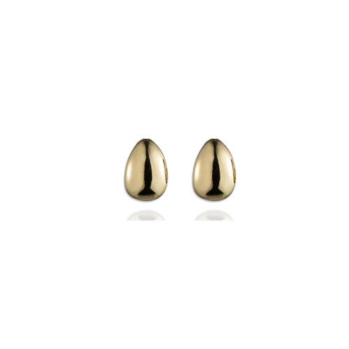 Calvin Klein Anne Klein Goldtone Clip Top Hoop Eareringe 1