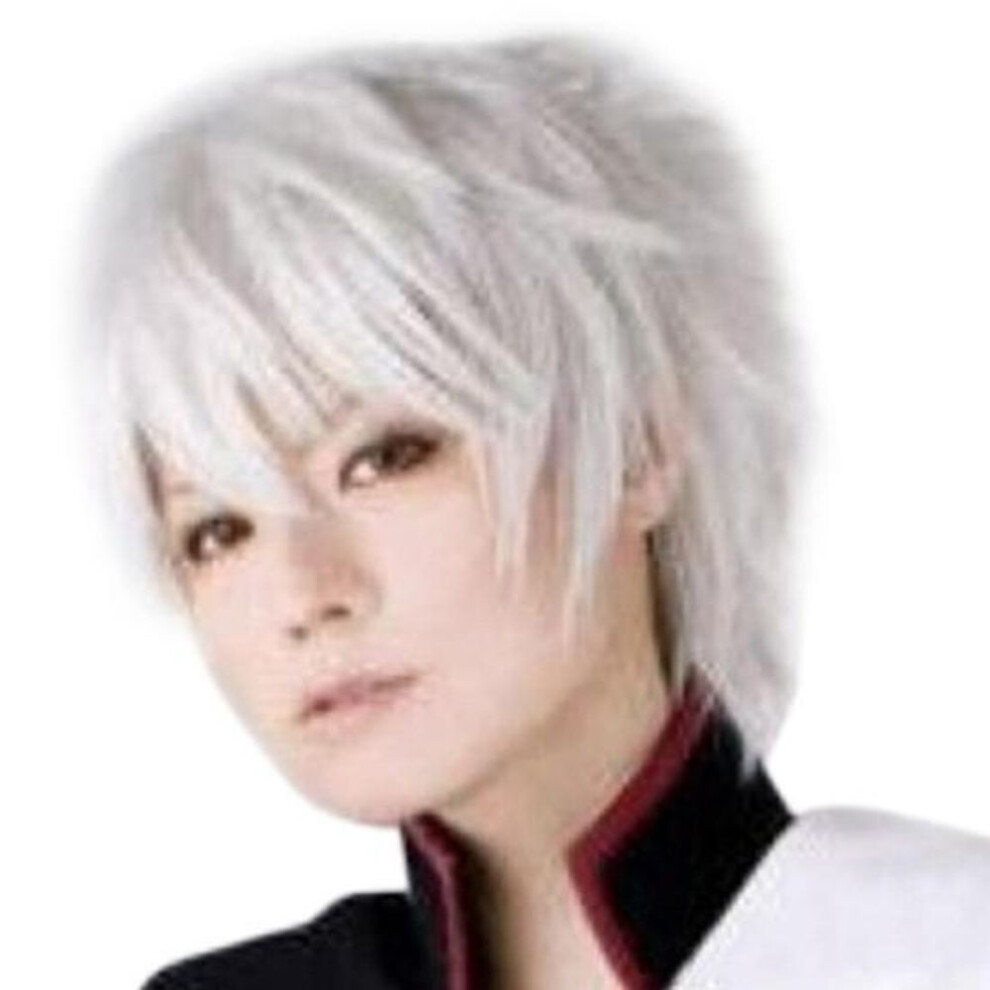 (white) Men&apos;s Short Wig Cosplay Party Costume Full Wig Straight Wigs Gift