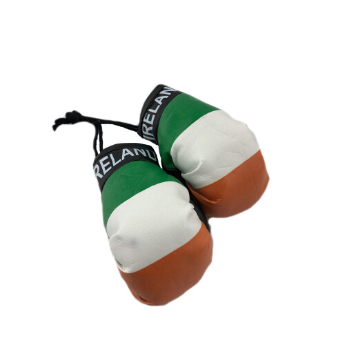 Luvas de mini boxe espelhadas do carro (Irlanda)